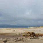 5 Star Holiday Home In Lokken